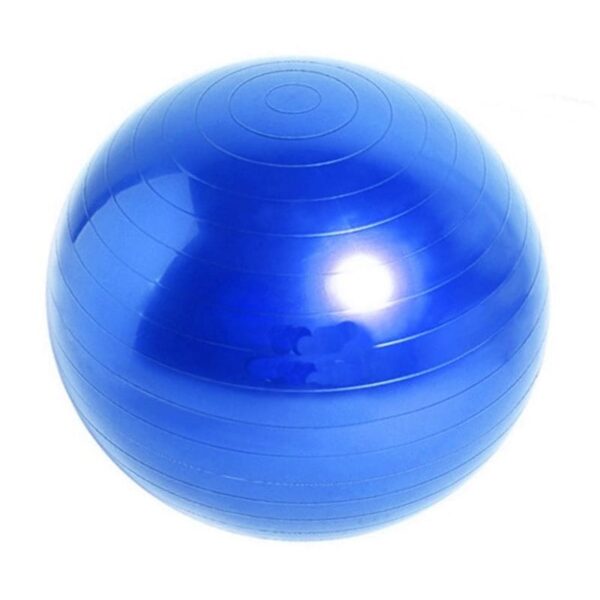 Pilates & Yoga Topu (55cm)