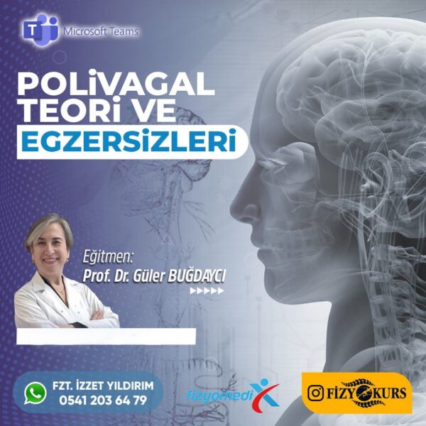 Polivagal Teori ve Egzersizleri
