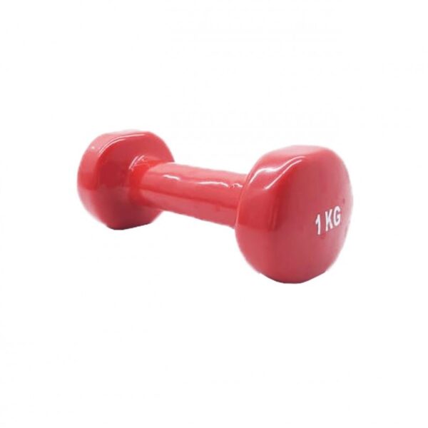 Vinil Dambıl 1 Kg
