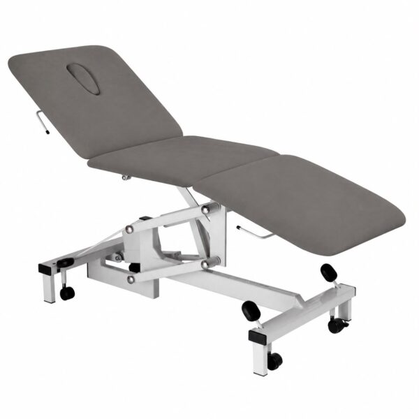Plinth 3 Parçalı Motorlu Sedye